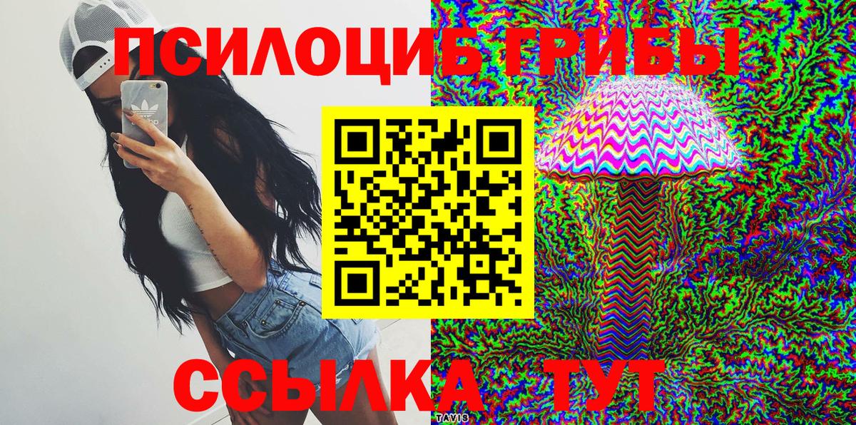 Галлюциногенные грибы прущие грибы Кохма