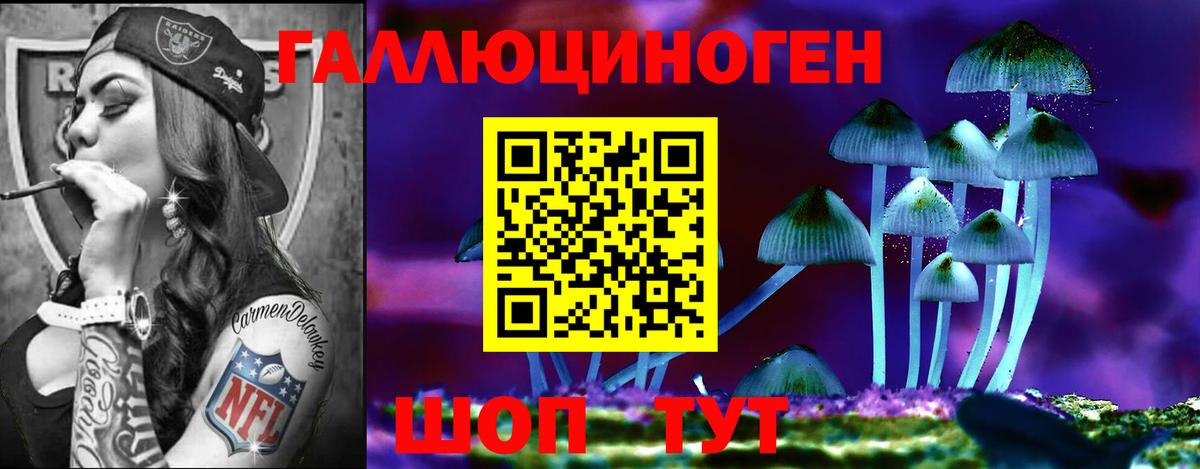 Кохма  Галлюциногенные грибы мухоморы  Вход с VPN 